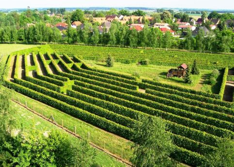 Irrgarten am Waldeck